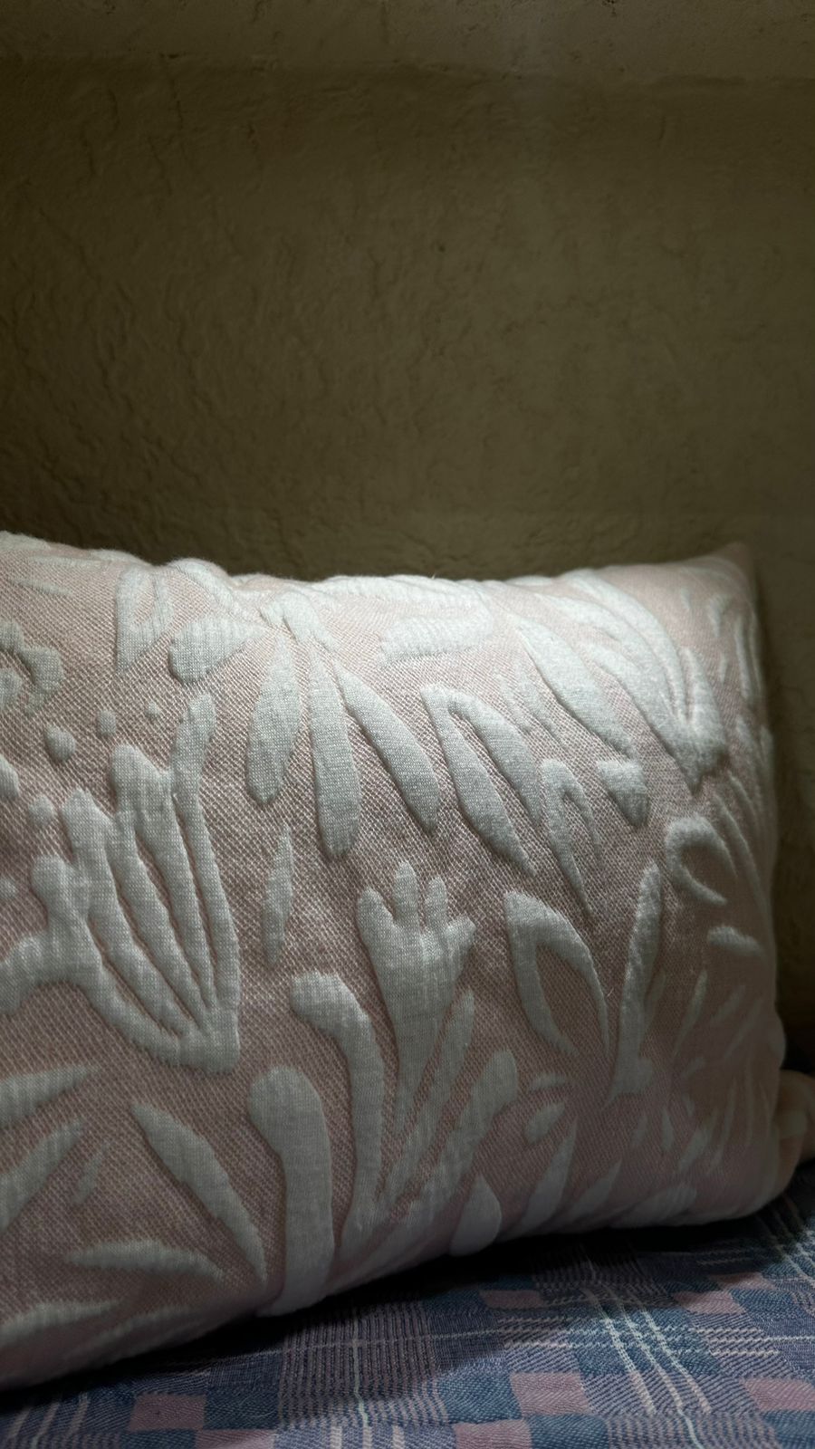 Cushion
