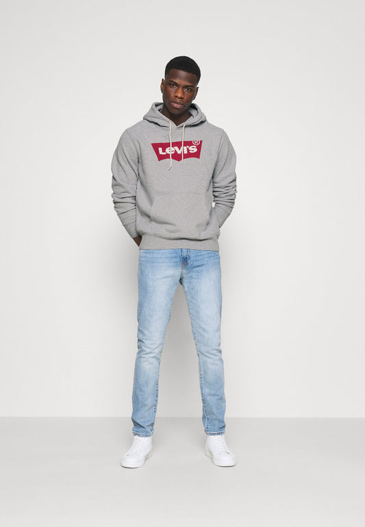 STANDARD GRAPHIC HOODIE - Hoodie
