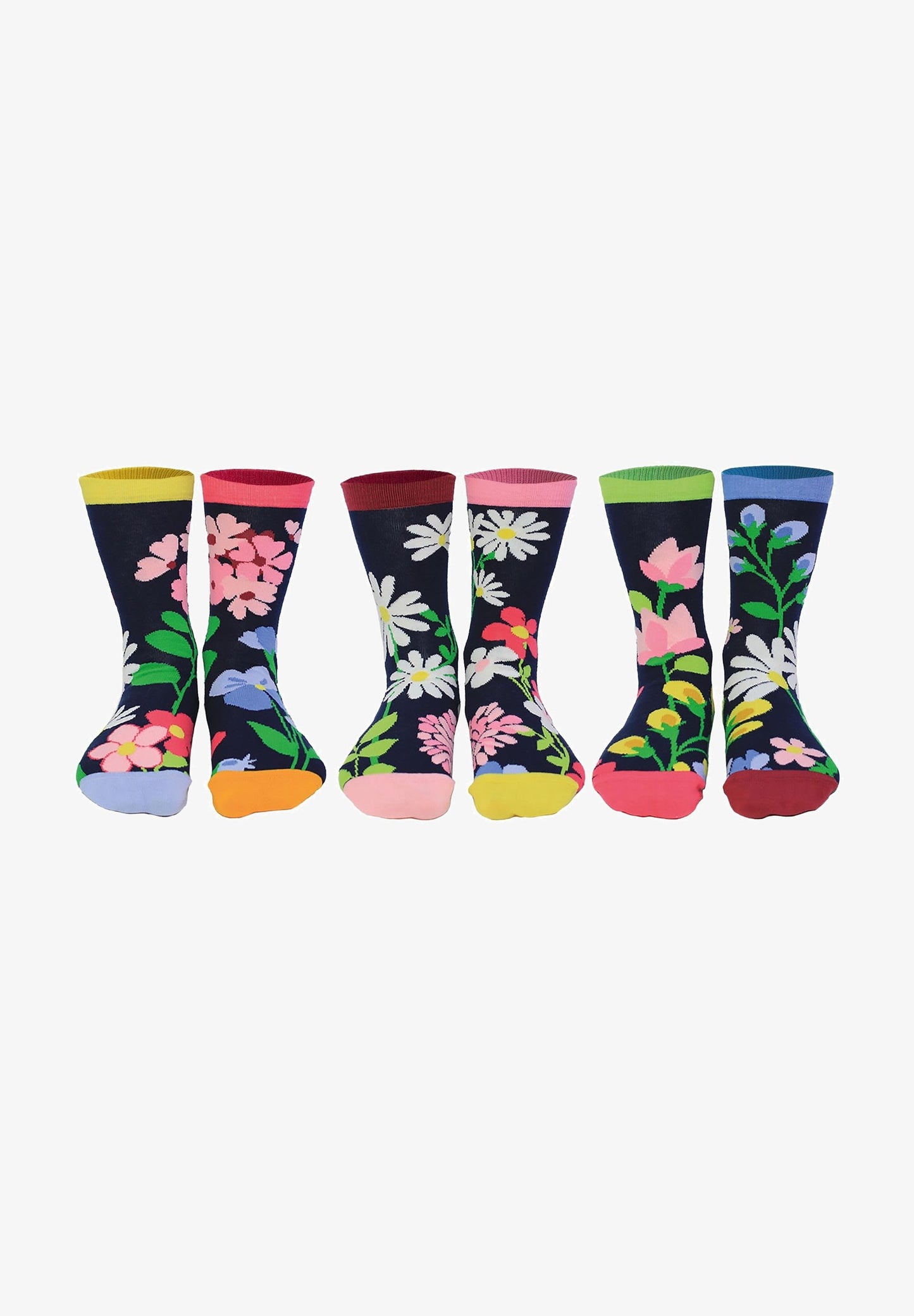 6 PACK - Socks