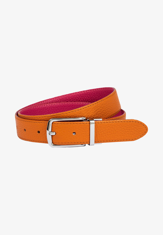 Reversible belt