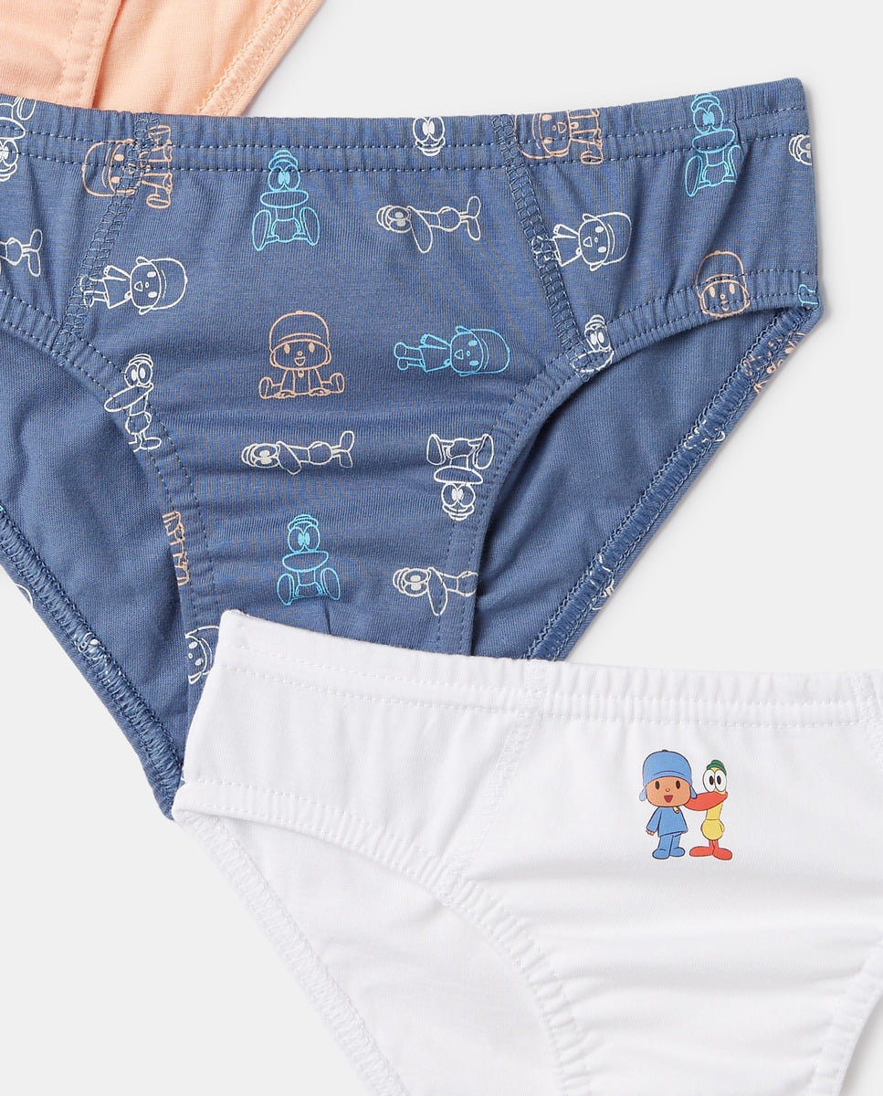 Briefs