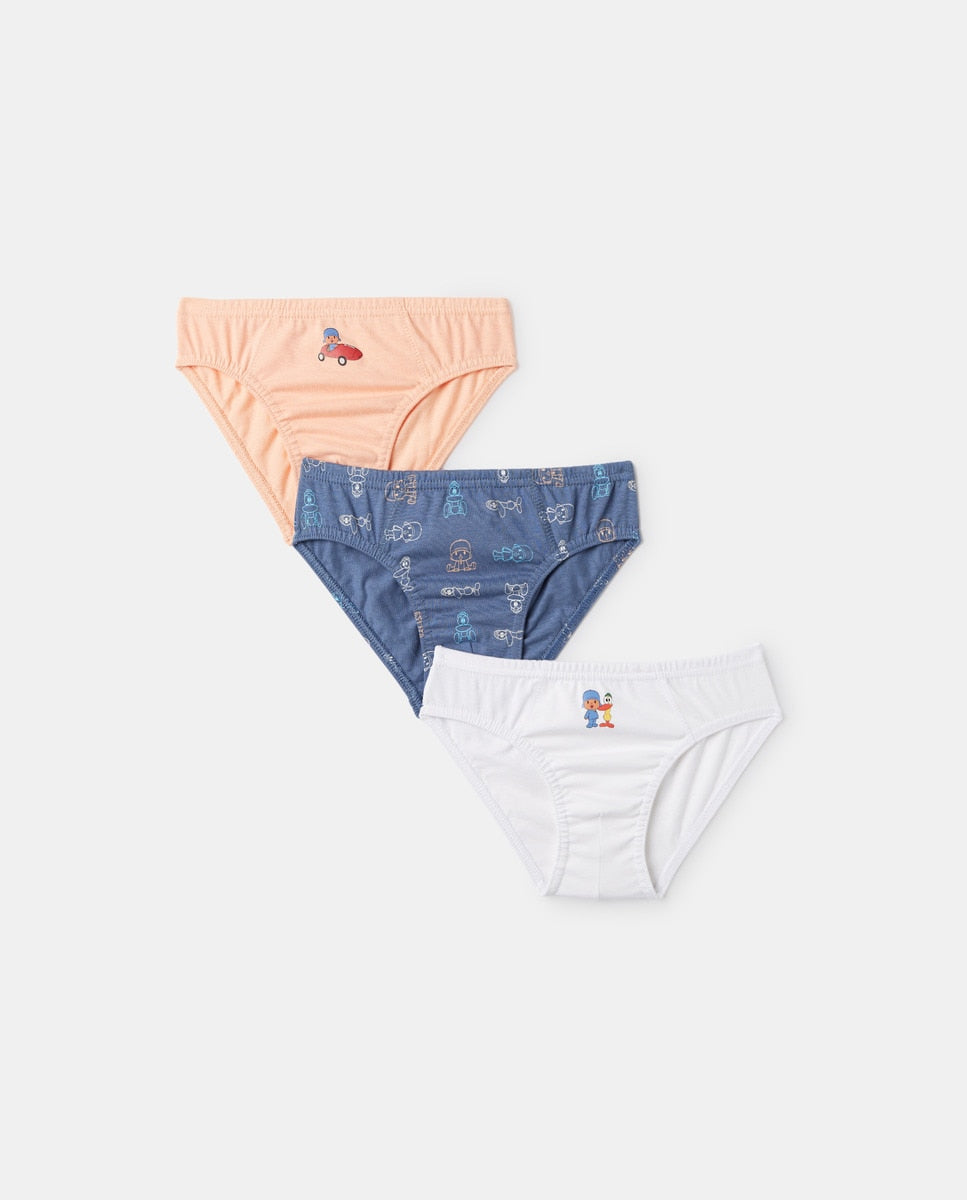Briefs